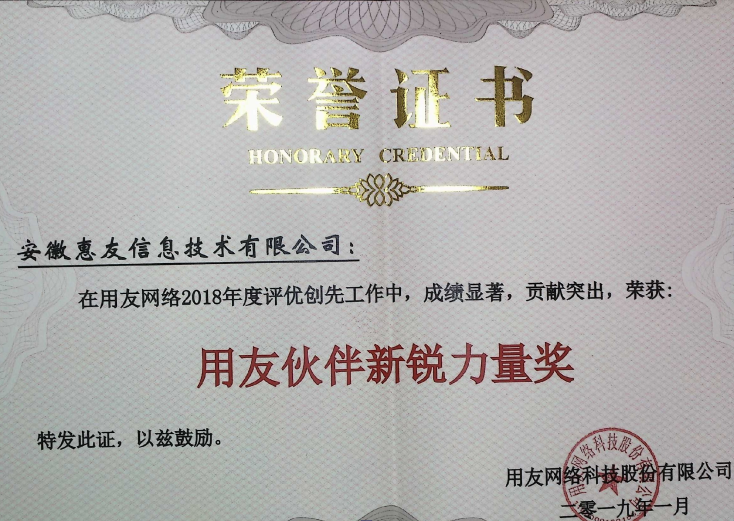 安徽惠友獲用友總部頒發2018年度新銳力量獎